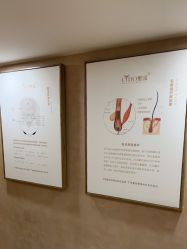 -熙朵美学植发·连锁品牌