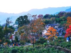 -塔川景区