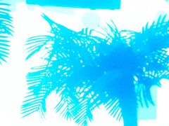 -简奥斯汀·赫本酒吧