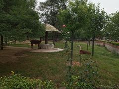 -石家庄市动物园