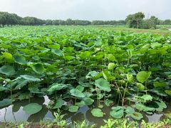 -上膳源有机农场