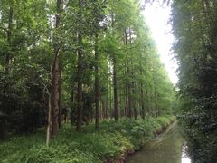 -崇明东平国家森林公园烧烤房车露营地