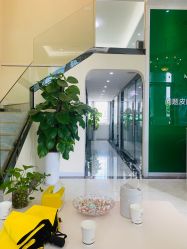 -苗医生草本科技祛痘