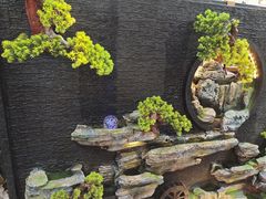-大自然花鸟鱼虫市场