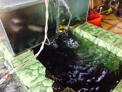 -荣德灶台鱼(圣泉寺店)