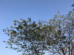 -良渚古城遗址公园