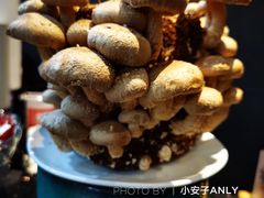 -捞王猪肚鸡火锅(财富中心店)