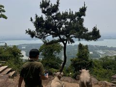 -虞山风景区
