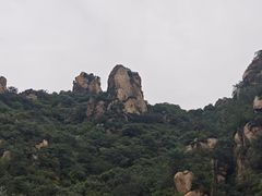 -大岭沟猕猴桃谷风景区