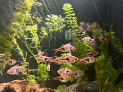 -上海海洋水族馆