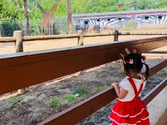 -大连森林动物园