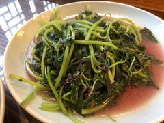 时令蔬菜（米苋）-双塔老饭店