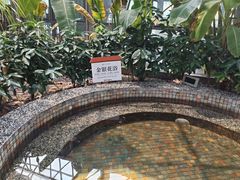 -河北霸州茗汤日月潭温泉