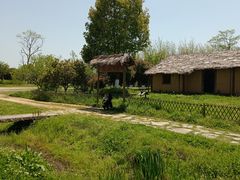 -杏花村文化旅游区