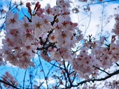 -海东龙宫寺