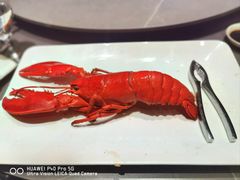 -神洲四海大酒楼(王府井澳门中心店)