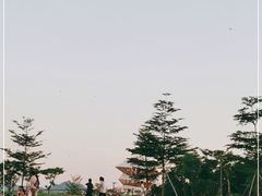 -光明小镇欢乐田园