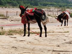 -陕西黄河壶口瀑布旅游区