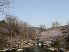-北京植物园-展览温室