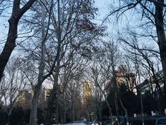 -山东师范大学(千佛山校区)