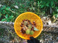 -味好美土菜(迎宾东路店)