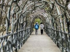 -万佛湖风景区