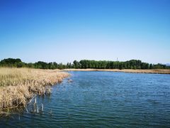 -野鸭湖国家湿地公园