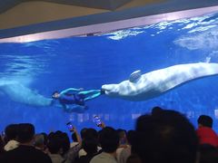 -泉城欧乐堡海洋极地世界