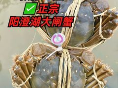 -阳澄湖半岛旅游度假区