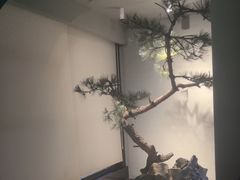 -山塘渡·苏式园林餐厅