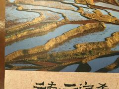 -云海肴·汽锅鸡·云南菜(天津国金汇店)