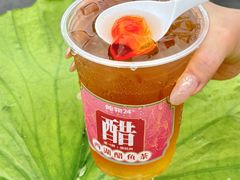 -炖物24章·顺时轻养茶(黄龙店)