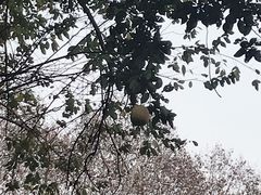 -星巴克(西湖天地店)