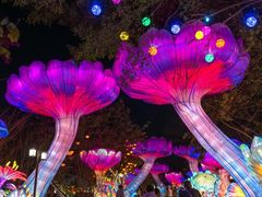 -南沙蒲洲花园