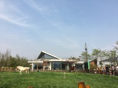 -田园东方蜜桃村的田野营地