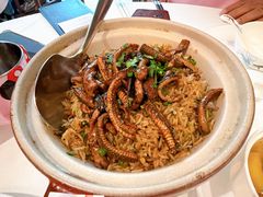 -侨美·唐荔园·40年地道粤菜