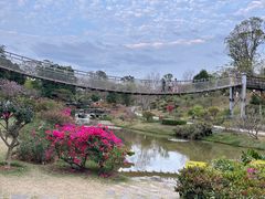 -东莞植物园