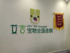 -艾吉宠物医院·疑难杂症转诊中心·猫友好(碧江路院)