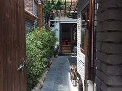 -桥岚·巷子鲜河豚鱼(专门店)