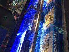 -奢谷·海鲜自助(南海万科店)