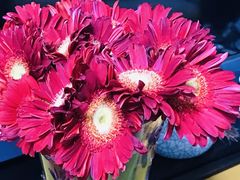 -昆明国际花卉拍卖交易中心