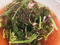 苋菜-金锅小厨(乐活街店)