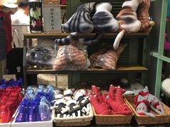 -猫咪博物馆(顶澳仔猫街店)