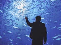 -沈阳海洋探索中心