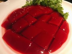 鲜鸭血-晓宇重庆火锅(龙首店)