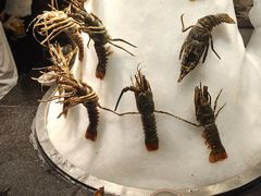 -悦鼎汇海鲜姿造
