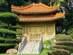 -深圳国际园林花卉博览园