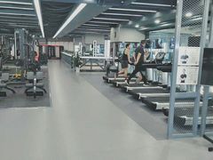 -金吉鸟健身游泳