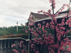 -美的鹭湖森林度假区