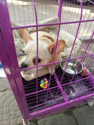 -茶发Salon·烫发染发理发